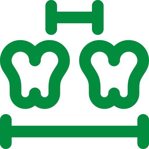 dental space maintainers